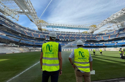 Césped extremeño para el Bernabeu
