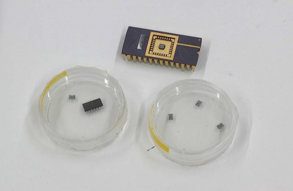Microchip