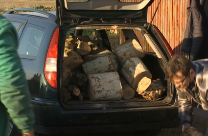 Reparto de leña gratis de poda en Miajadas
