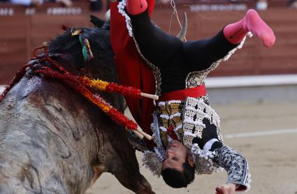 El diestro Emilio de Justo es cogido por el toro durante la corrida del Domingo de Ramos celebrada esta tarde en el coso taurino de Las Ventas, en Madrid. 