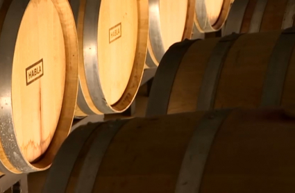 Barricas de vino