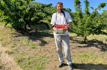 Un cultivador de cereza en su primer día de campaña.