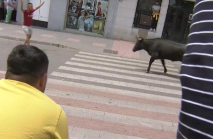 Comienzan los Sanjuanes de Coria
