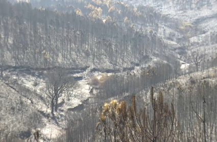 Controlado el incendio y desactivado el nivel 1 de peligrosidad