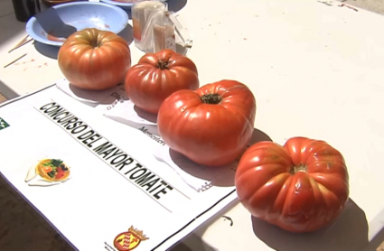 Tomate de Monesterio