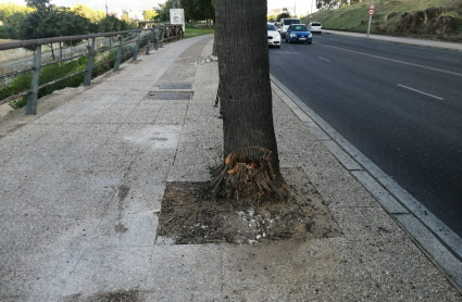 Accidente mortal en Badajoz