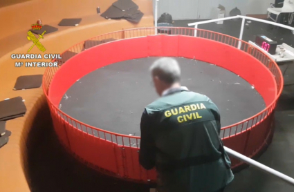 Peleas ilegales de gallos