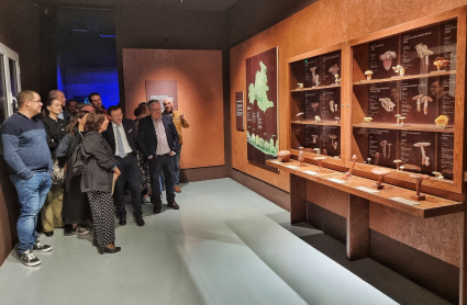 Museo Micológico de Monesterio