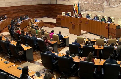 pleno de la asamblea