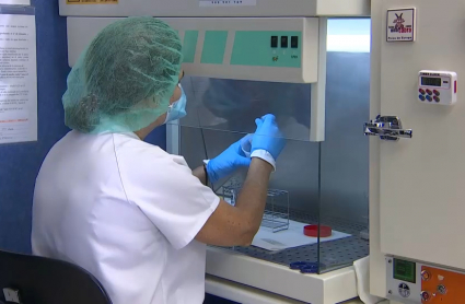 laboratorio cerha