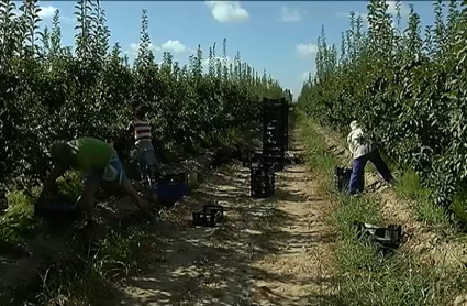 Preocupación en el campo