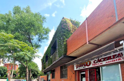 Jardín vertical estación de autobuses de Cáceres
