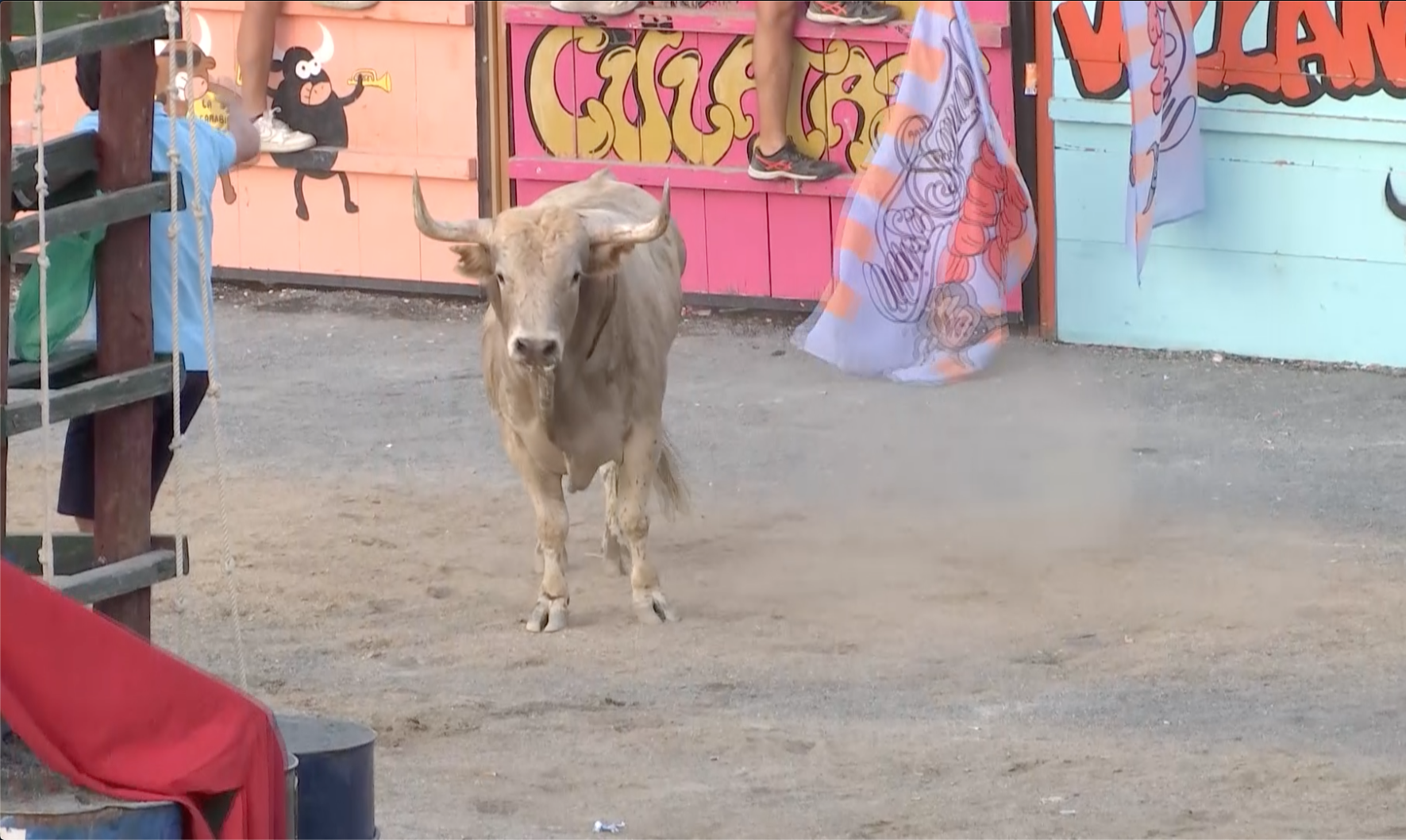Garrovillas, Festejo Popular, Los Lastrones, Tierra de Toros, Canal Extremadura, Juan Bazaga