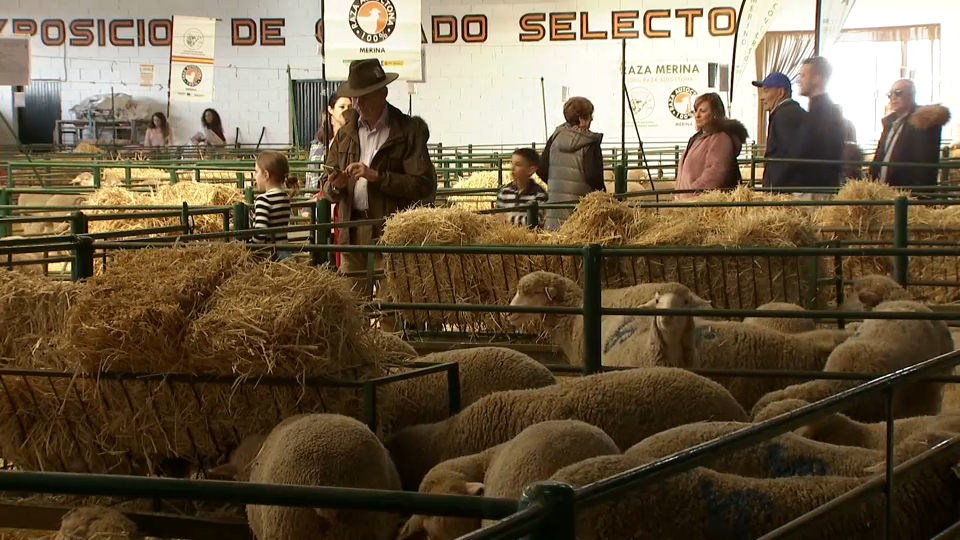 Feria Agroganadera de Trujillo