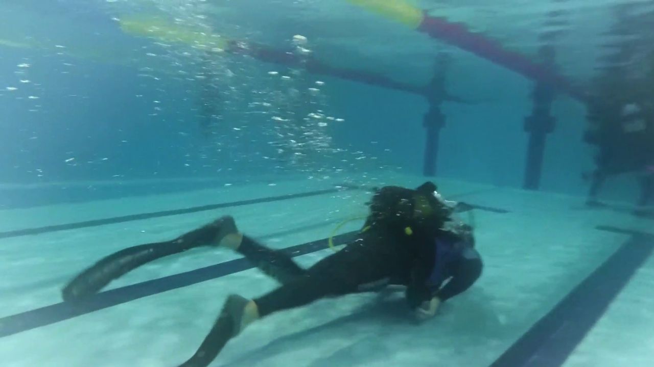 BUCEO