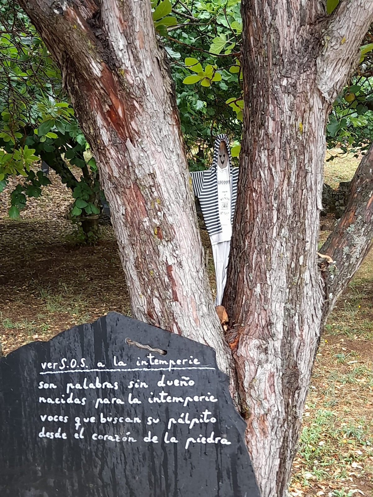 Verso a la intemperie de Rafael Girón