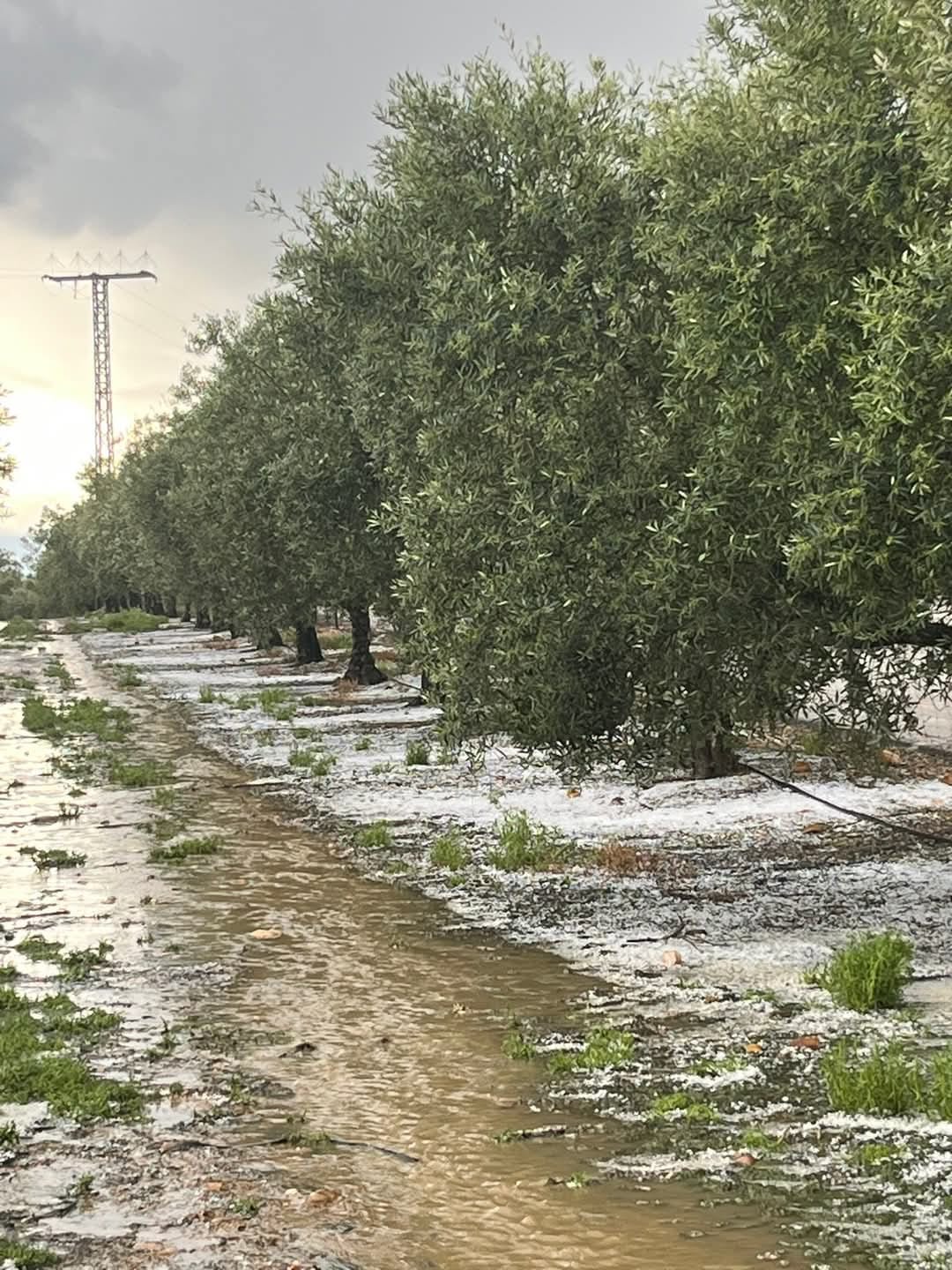 tormentas