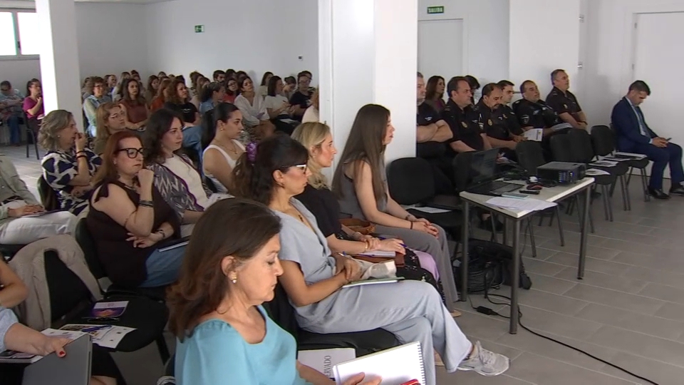 El IMEX reúne a todos los profesionales que combaten las violencias contra las mujeres en la primera Mesa Territorial del año
