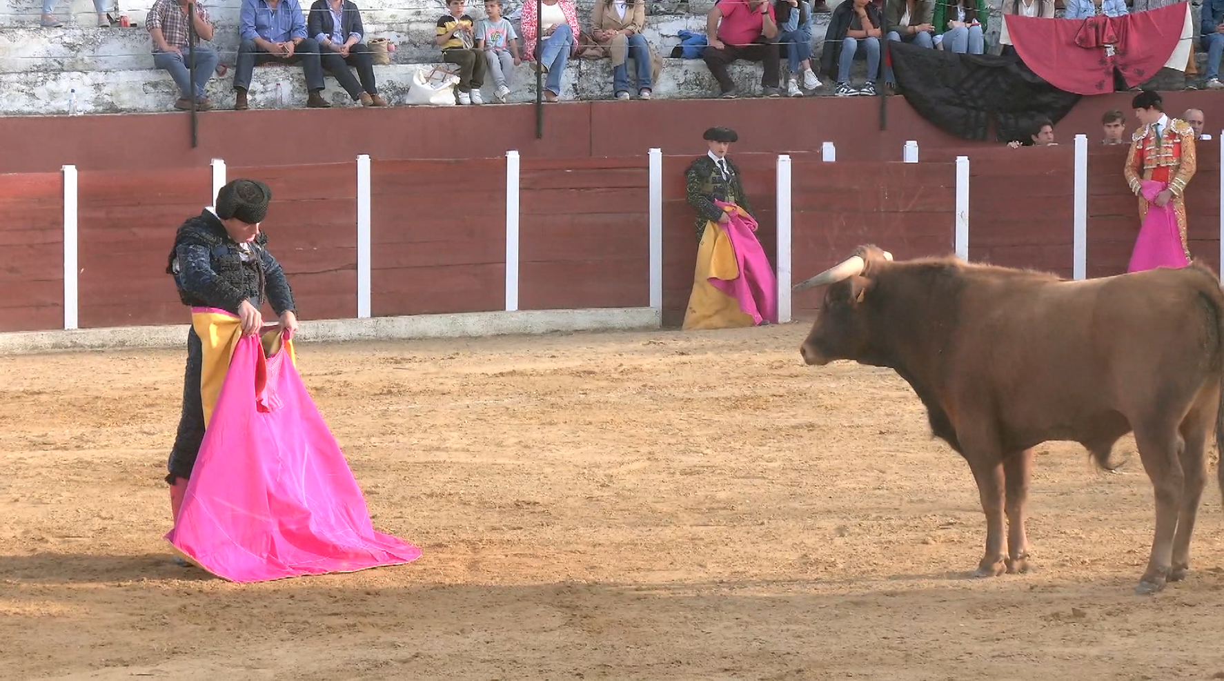 Quites Bodonal de la Sierra, Capote, Juan Bazaga, Tierra de Toros, Canal Extremadura