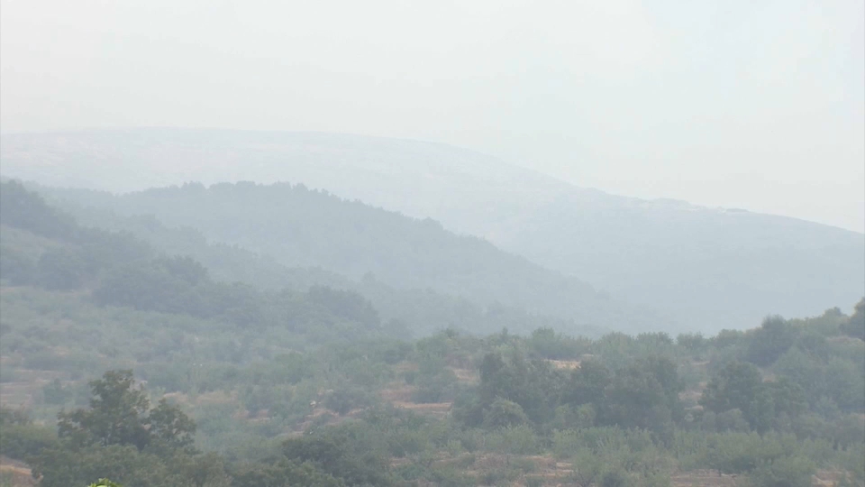 Los fuegos de Extremadura acaban con árboles centenarios y afectan a aves protegidas, según SEO/Birdlife