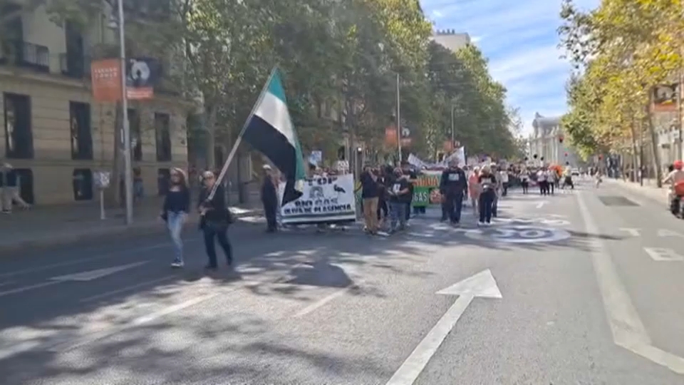 Manifestación de plataformas de Oliva de Plasencia y La Coronada en Madrid