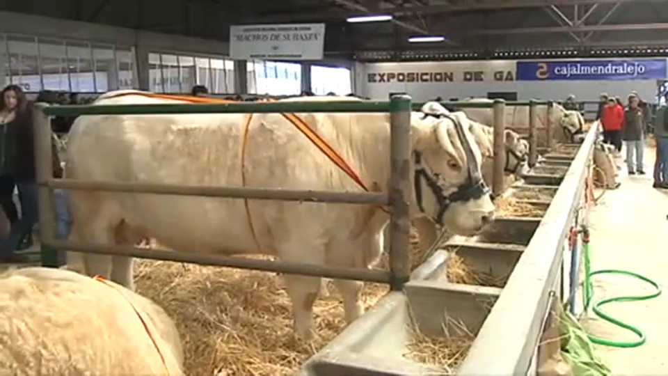 Suspendida la Feria Agroganadera de Trujillo