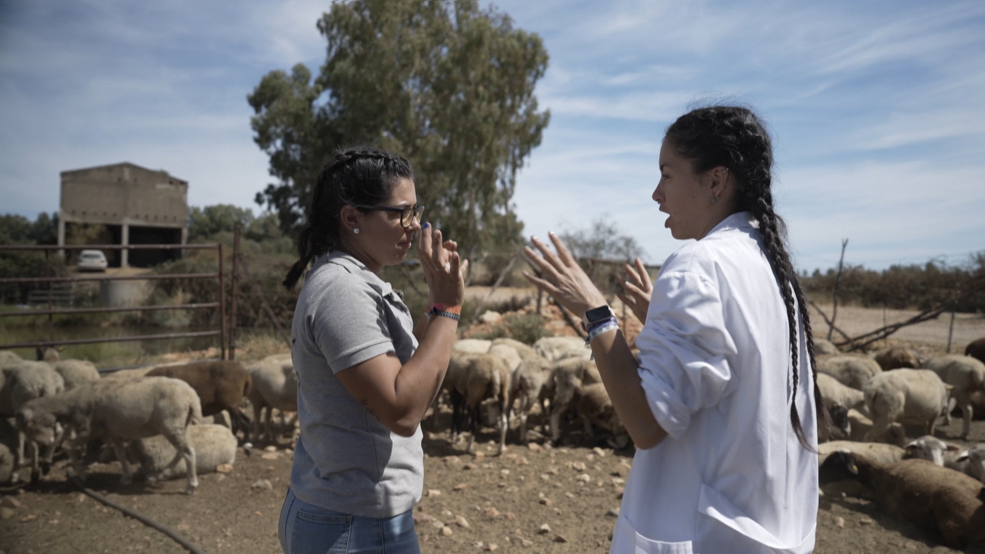 El campo es vida: Episodio 496 | Canal Extremadura