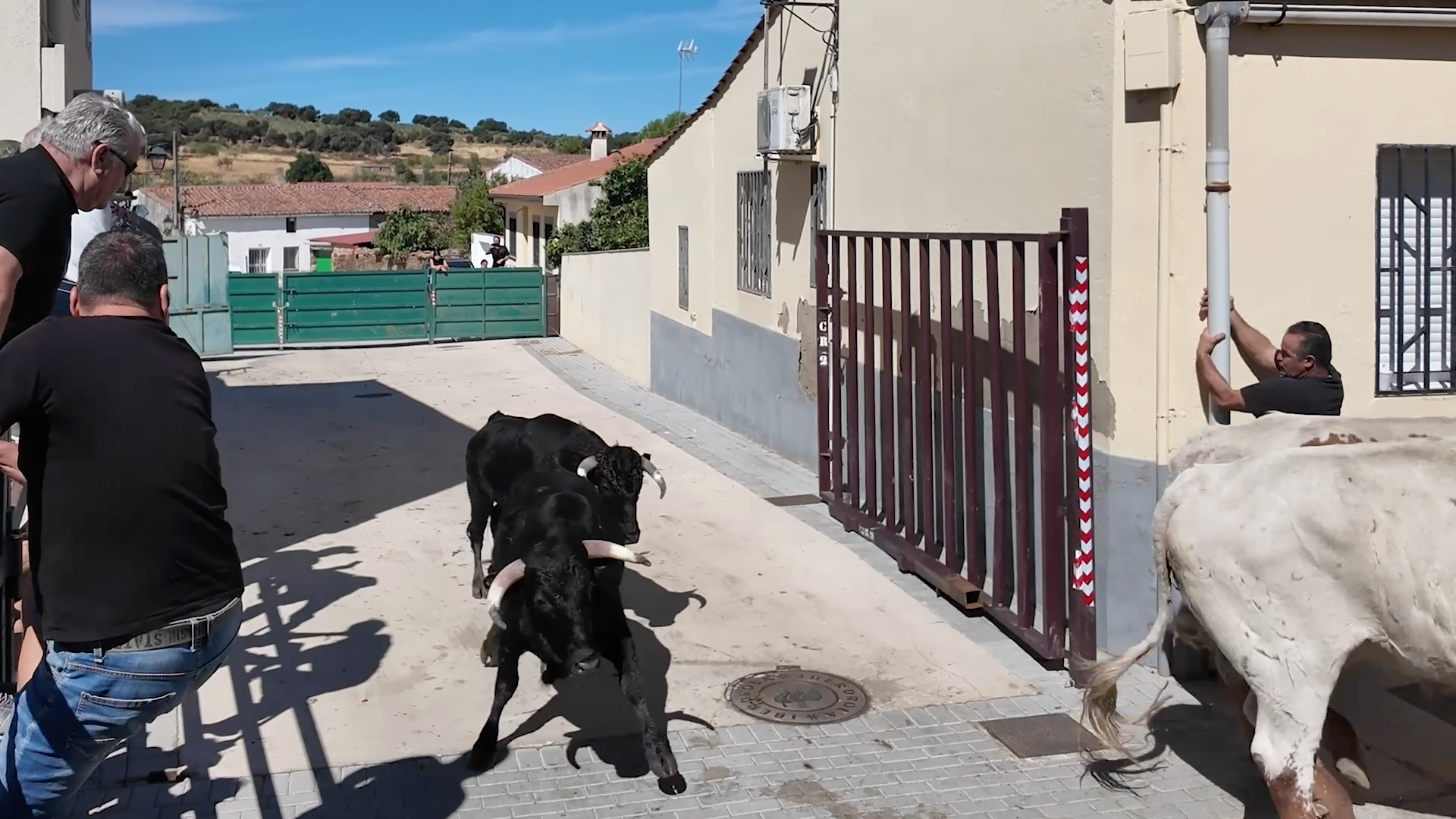 Encierros Calzadilla, Tierra de Toros, Juan Bazaga, Canal EXtremadura