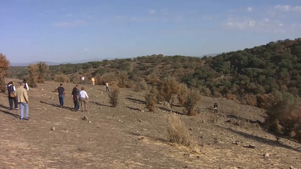 Zona afectada por el incendio de Jarilla de 2025