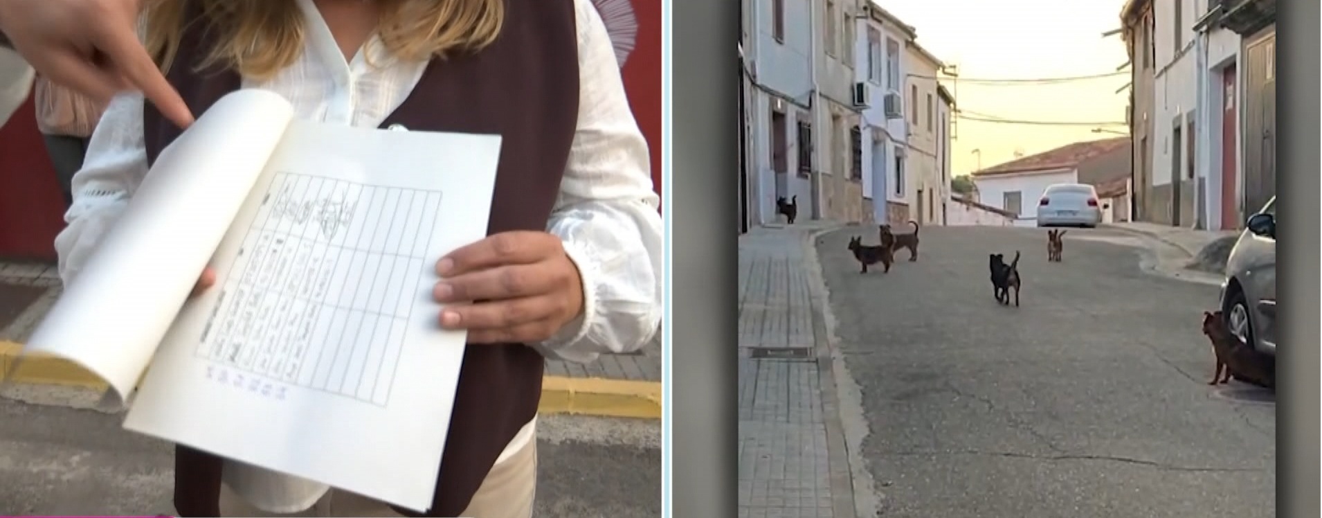 Los perros de una vecina dificultan la convivencia en Zarza la Mayor