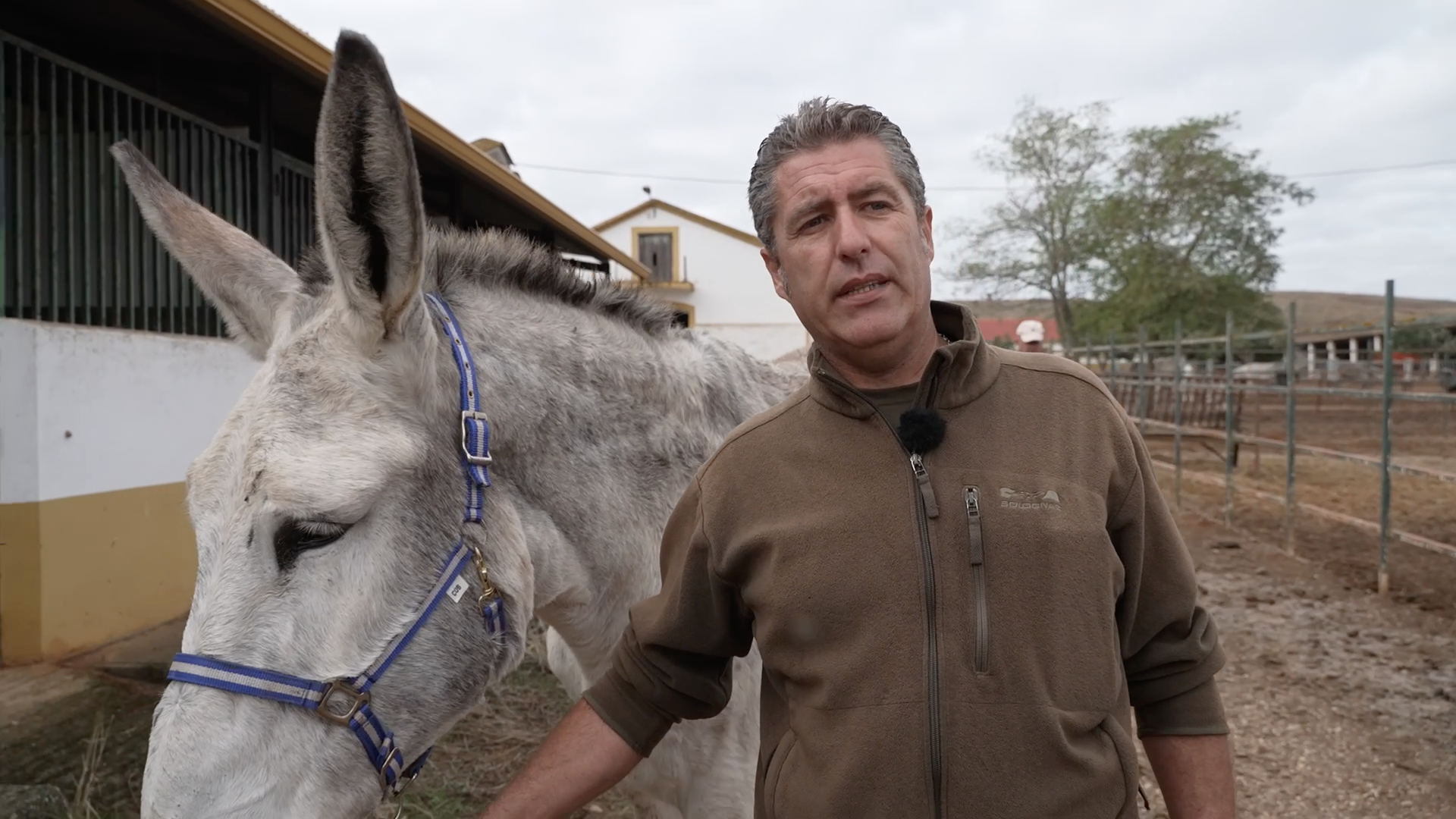 Lavado picador de toros, Tierra de Toros, Canal Extremadura, Juan Bazaga