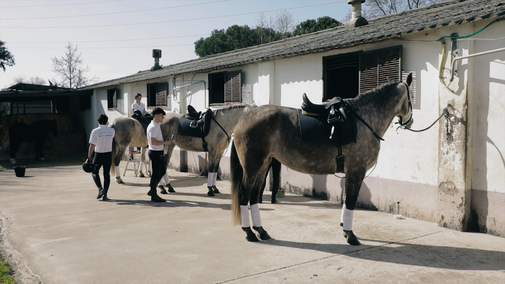 Alumnos a punto de empezar una clase de equitación