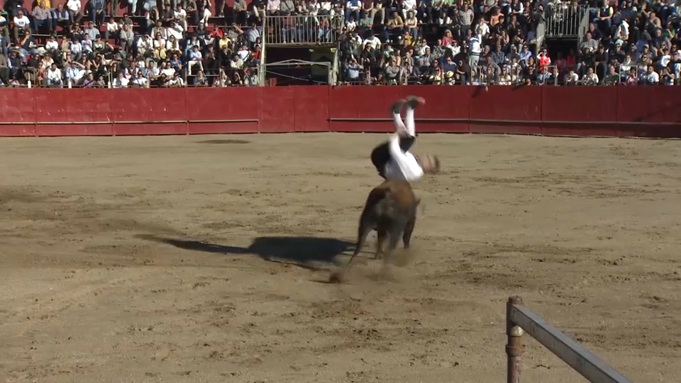 Saltos de recortadores en Coria