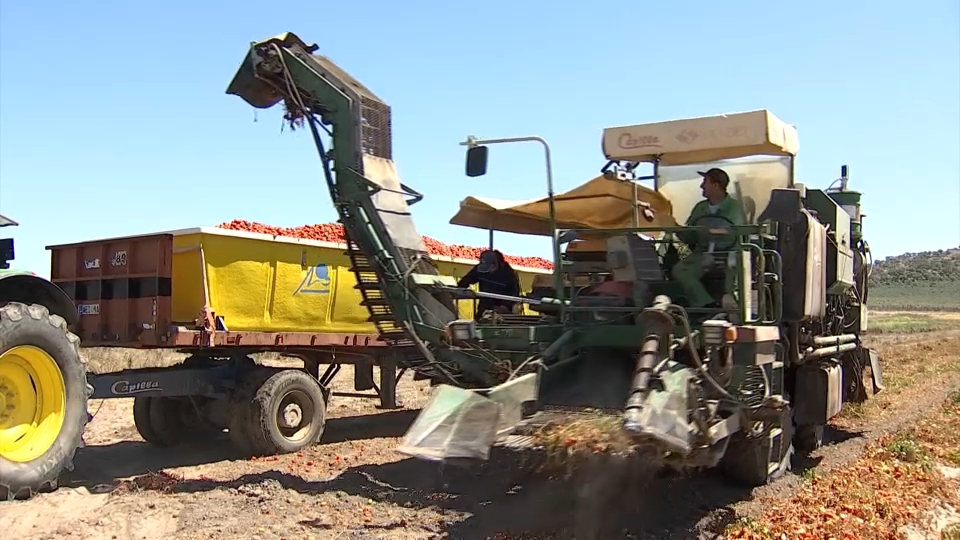 Ocho de cada diez productores reclaman a Bruselas autorizaciones más ágiles y menos restrictivas
