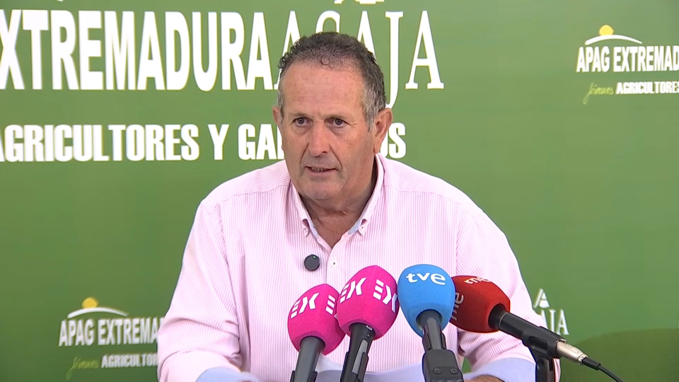 Juan Metidieri