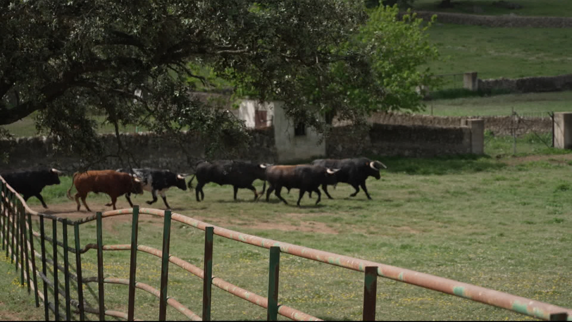 El hierro extremeño se ubica en la finca La Cercada entre Olivenza y Alconchel