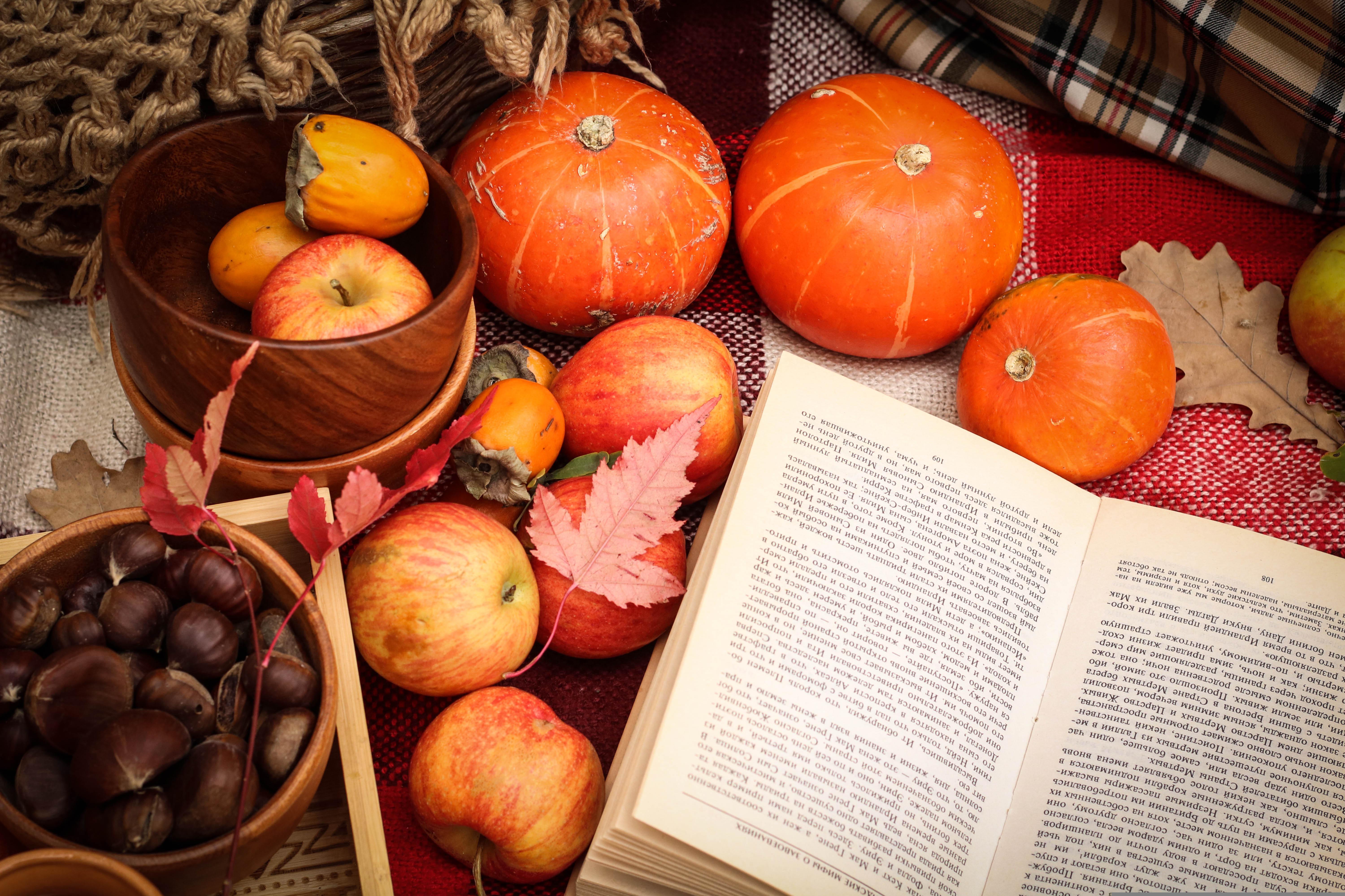 Alimentos y un libro