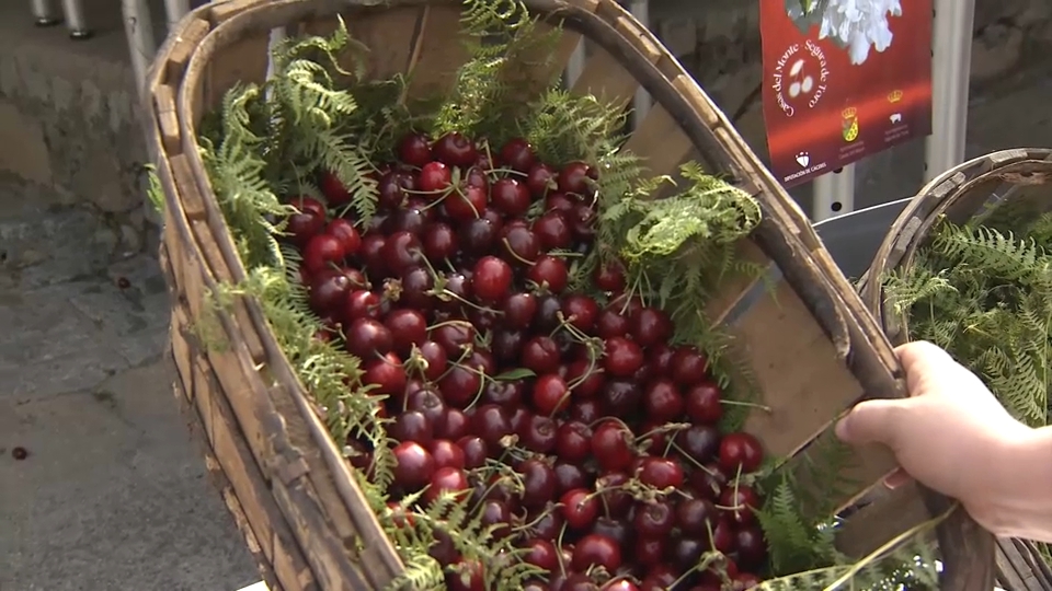 AMBROZ