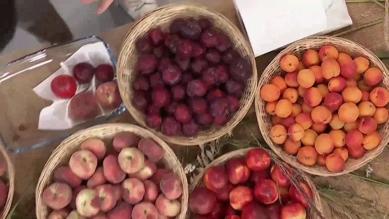 FRUTAS