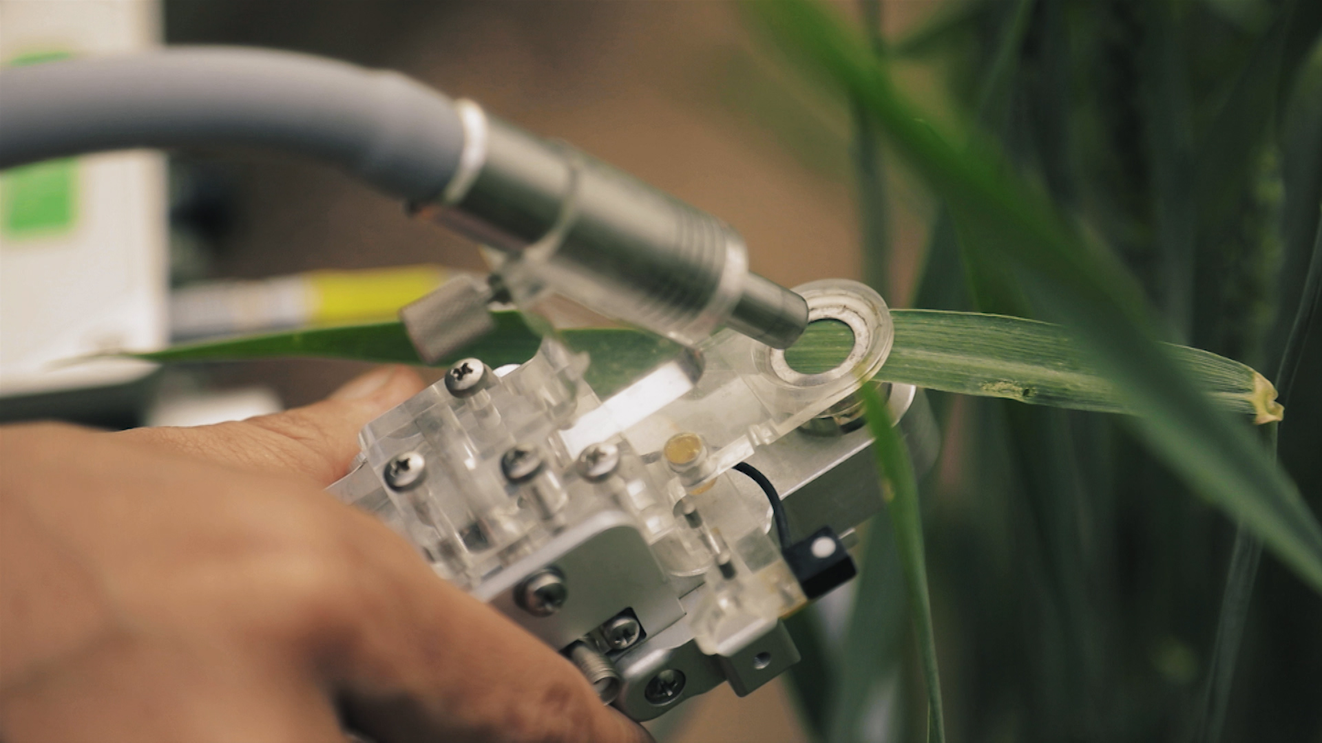 Investigación agroecológica