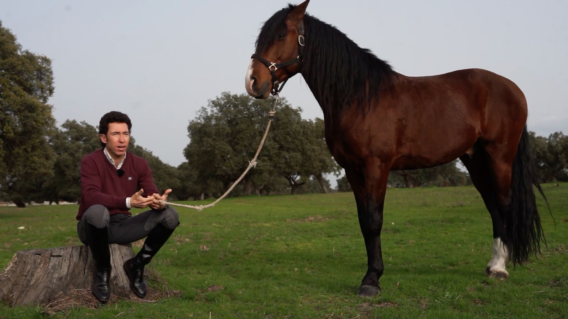 Leonardo Hernádez, Tierra de Toros, Canal Extremadura, Juan Bazaga