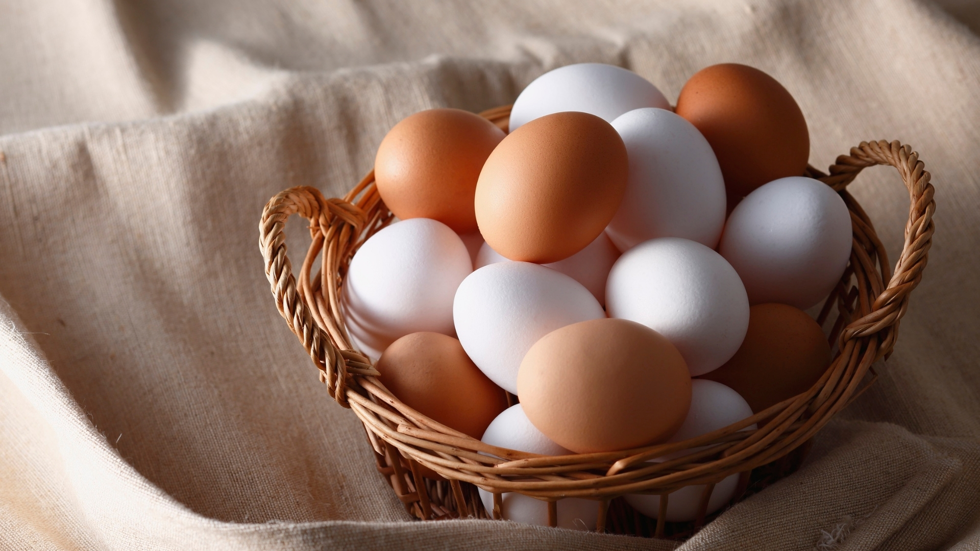 Huevos camperos
