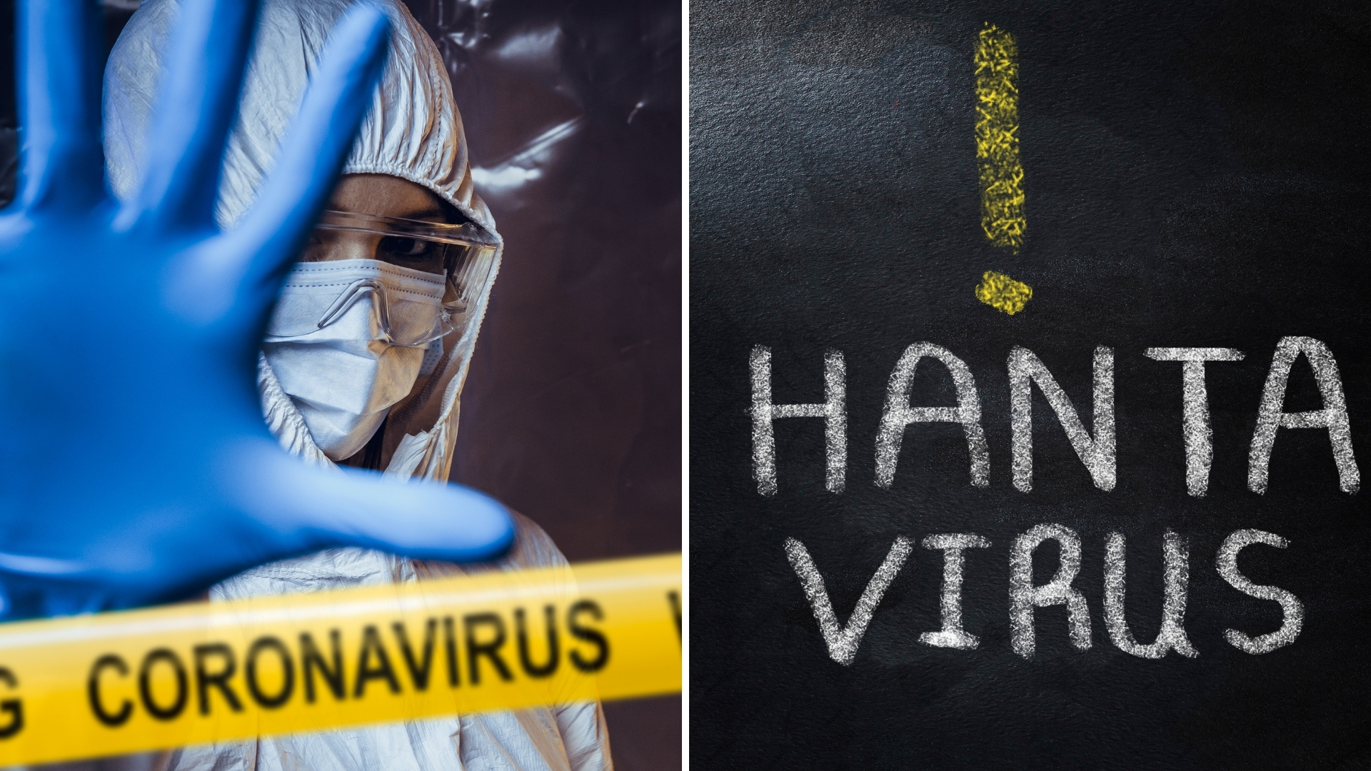Coronavirus-Hantavirus
