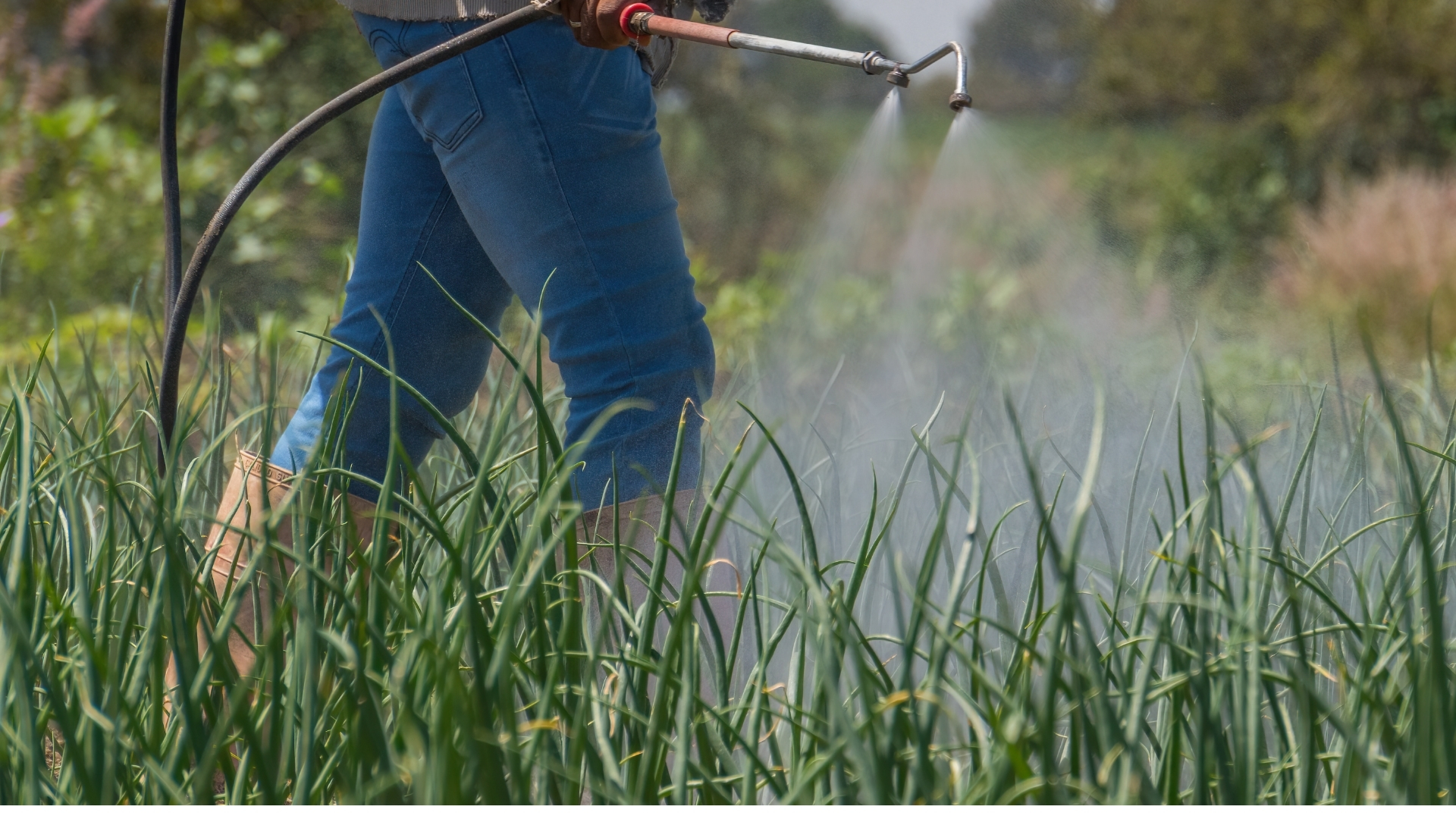 Fertilizantes