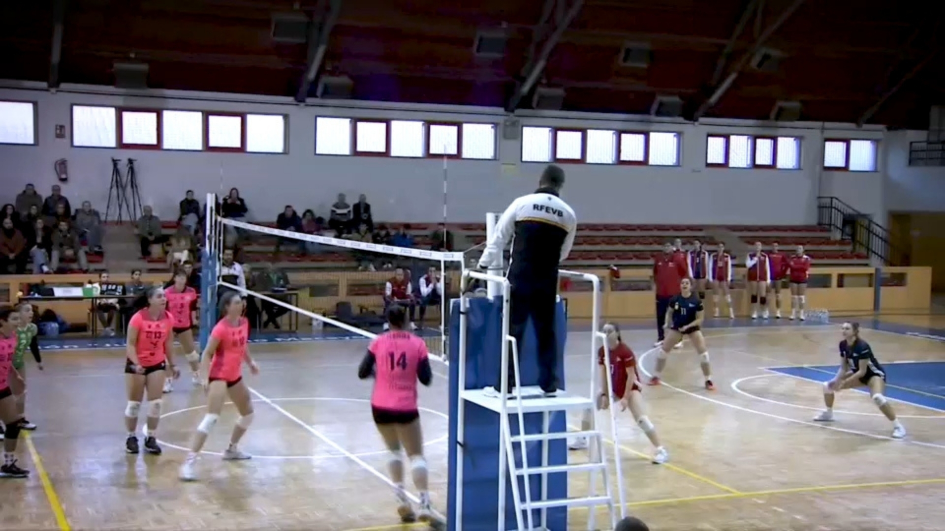 Voleibol femenino