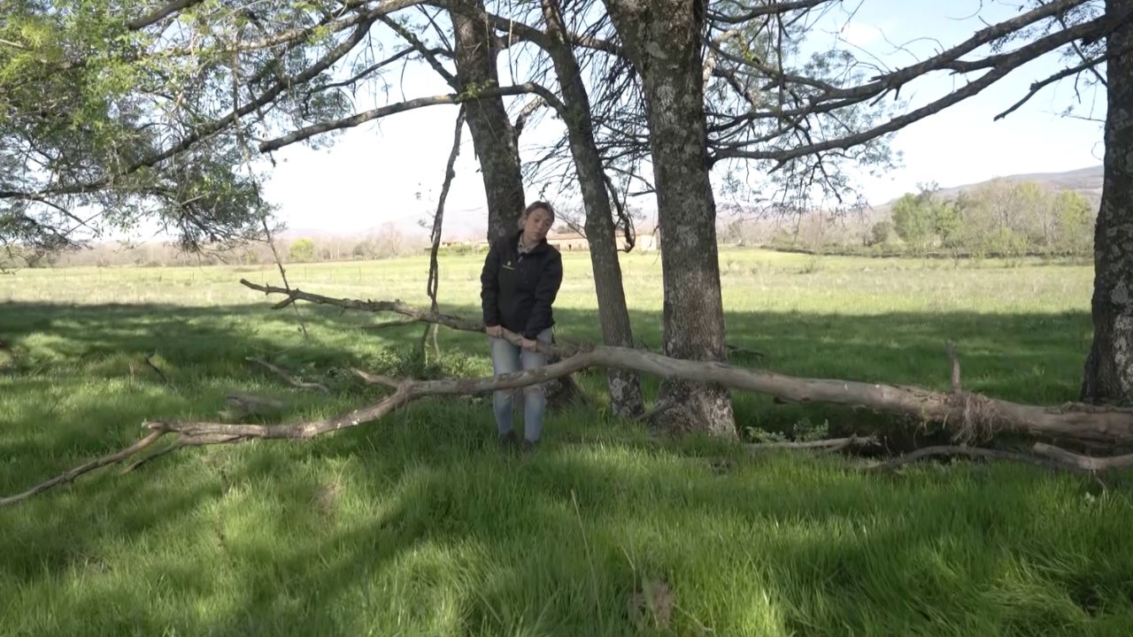 Marifé limpiando la finca
