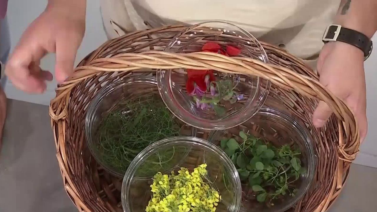 PLANTAS
