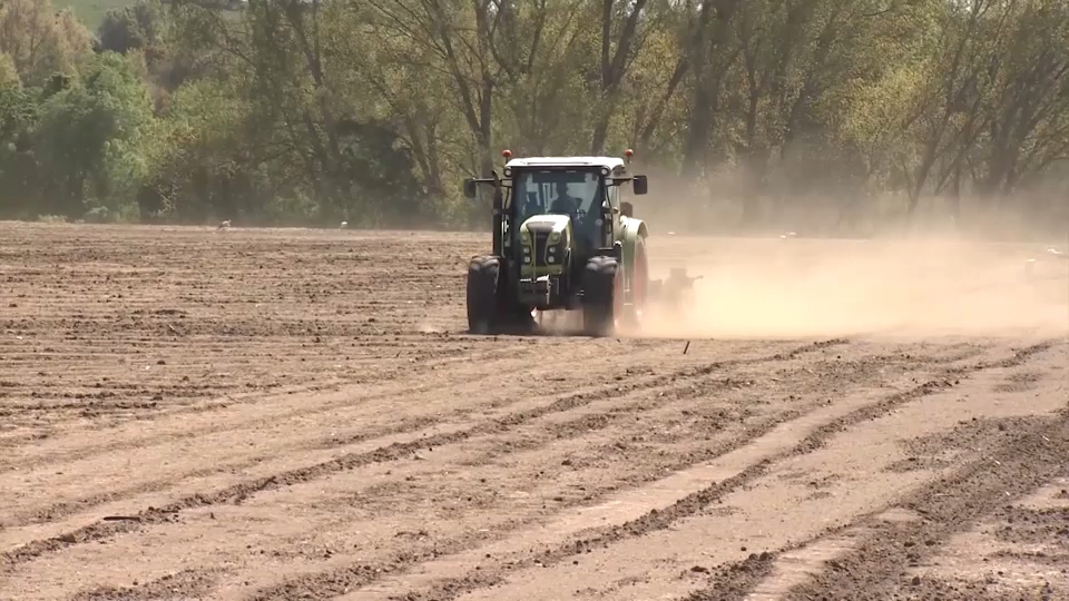Agricultura