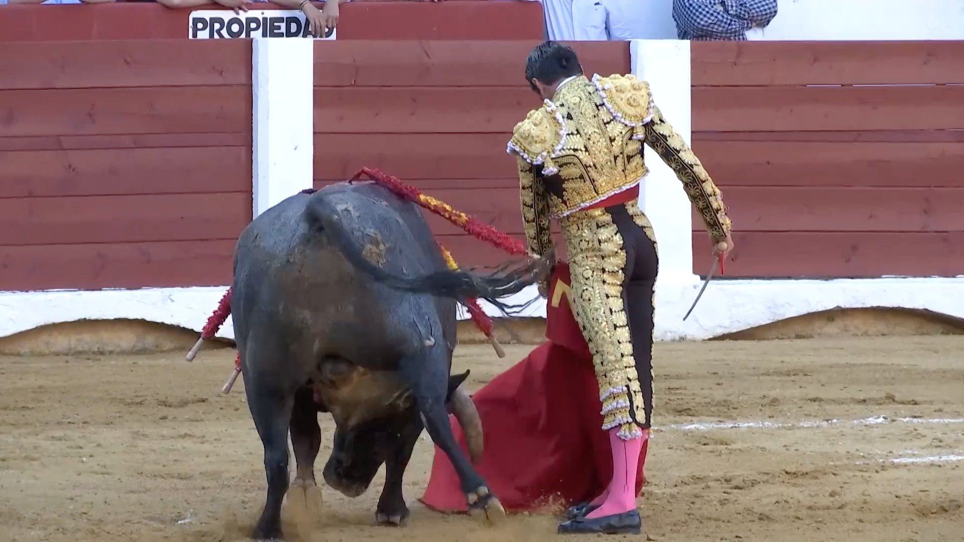 Feria de Cáceres, Tierra de Toros, Canal Extremadura, Juan Bazaga