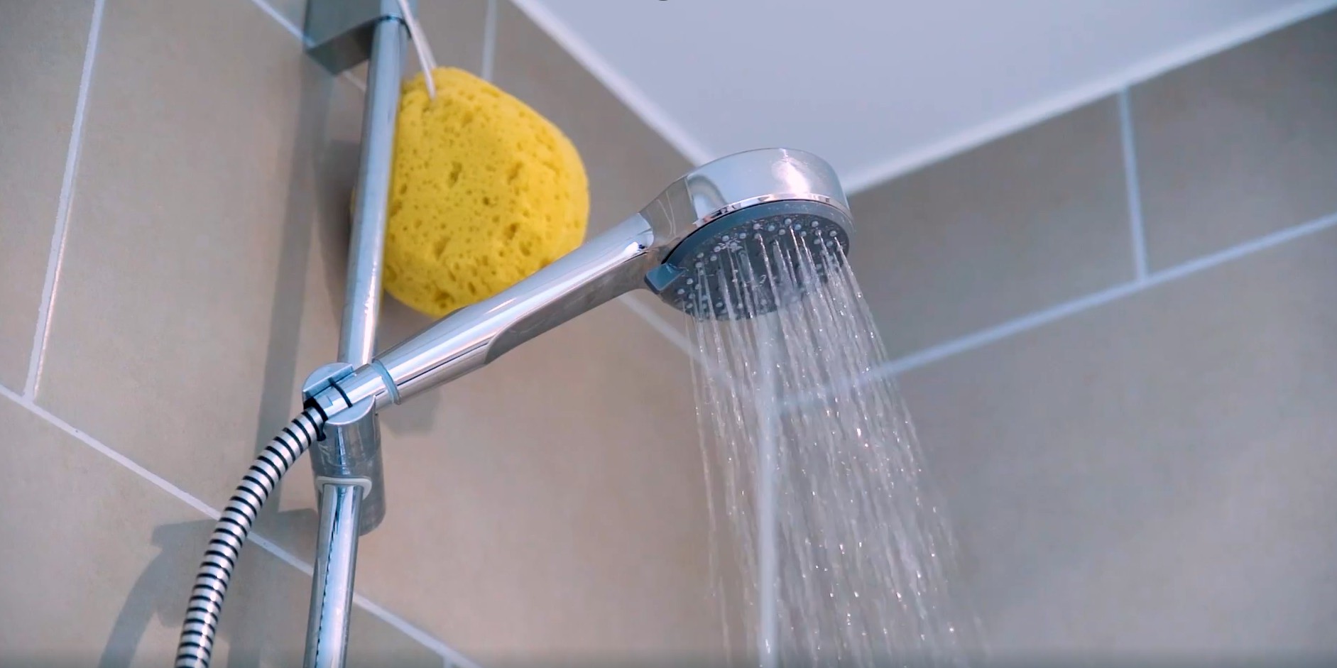 Esponjas en la ducha
